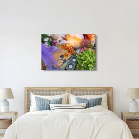 Obraz - letný piknik (90x60 cm)