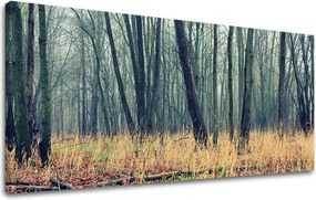 Obraz na stenu PANORÁMA STROMY ST019E13