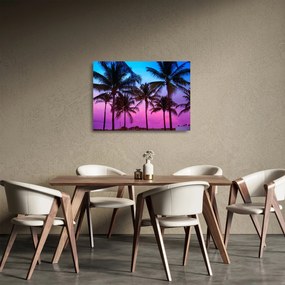 Sklenený obraz - Palmy v Miami (70x50 cm)
