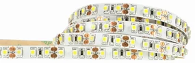 ECOLIGHT LED pásik - SMD 2835 600 - 50 m - 9,6 W/m - IP20 - teplá biela