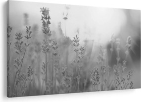 Obraz - Levanduľa (90x60 cm)
