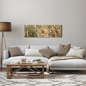 Obraz - Obilie (s hodinami) (90x30 cm)