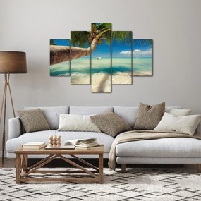 Obraz - Čisté more s palmou (150x105 cm)