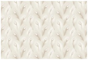 Samolepiaca tapeta béžové pávie perie v glamour štýle