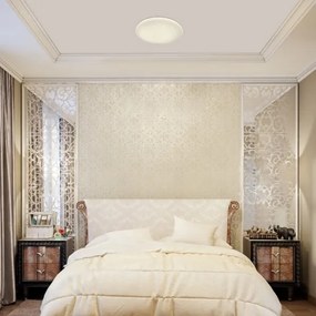 Rabalux 5449 - LED stmievateľné stropné svietidlo DANNY LED/36W/230V + diaľkové ovládanie