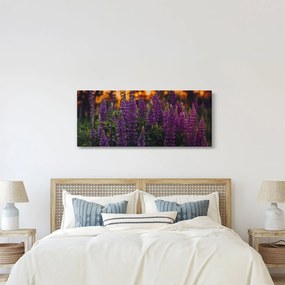 Obraz kvetov vlčieho bôbu (120x50 cm)