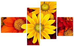 Obraz kvetín