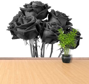 Fototapeta Vliesová Čierne ruže 416x254 cm
