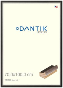 DANTIK rám na obraz 70x100 | TAIGA černá (Plexi Čiré)