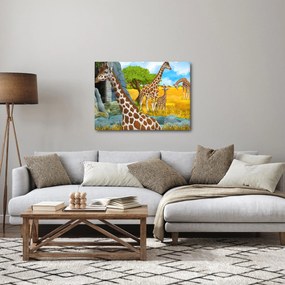 Obraz - Žirafia rodina (70x50 cm)