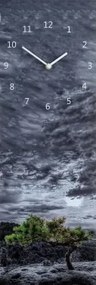 Nástenné hodiny Osamelý strom, 20x60 cm%