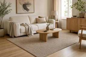 Koberec DUNE WOOL 497 01 TM621 béžový / hnedý