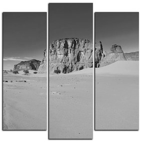 Obraz na plátne - Cesta v púšti - štvorec 3129QC (105x105 cm)