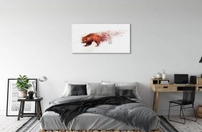 Obraz na skle medveď 125x50 cm