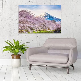 Obraz - Japonsko na jar (90x60 cm)