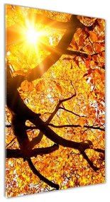 Vertikálny foto obraz akrylové sklo Jesenný strom oav-89060594