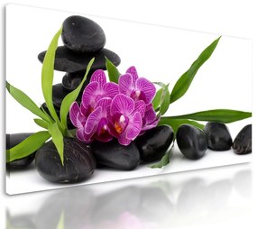 Obraz krásny kvet orchidei v SPA zátiší