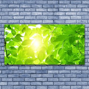 Obraz plexi Listy príroda slnko rastlina 120x60 cm