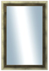 DANTIK - Zrkadlo v rámu, rozmer s rámom 40x60 cm z lišty Eternity Au ľadvinka (3098)
