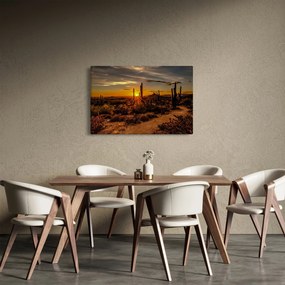 Obraz - Koniec dňa v arizonskej púšti (90x60 cm)