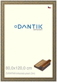 DANTIK rám na obraz 80x120 | ZVRATNÁ bílozlatá plast (Plexi Čiré)