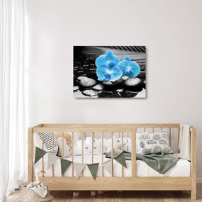 Sklenený obraz - Modrá orchidea (70x50 cm)