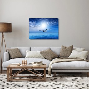 Sklenený obraz - Čajka nad morom (70x50 cm)