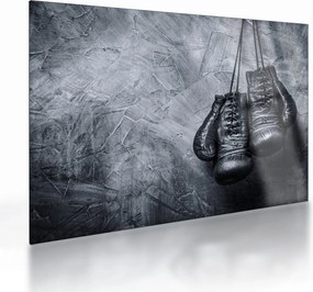 Sklenený obraz - Boxerské rukavice (70x50 cm)