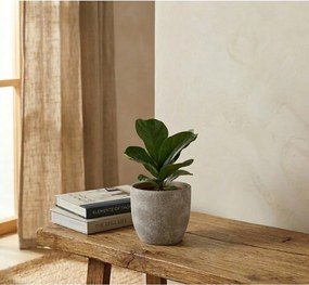 Terakotový kvetináč ø 16,5 cm Hector – Bizzotto