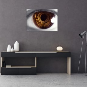 Sklenený obraz - Oko (70x50 cm)