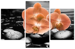 Obraz - Oranžové orchidey (90x60 cm)