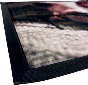 Home Elements Rohožka Pes s okuliarmi