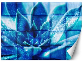 Fototapeta, Modrá květina - 100x70 cm
