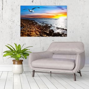 Obraz - Čajka letiaca nad pobrežím (90x60 cm)