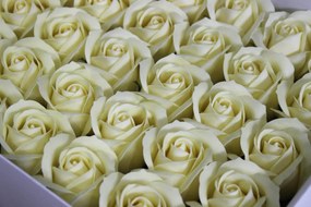 Maslové mydlové ruže 50ks 6cm