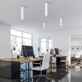 Bodové svietidlo TUNE L 1xGU10/10W/230V 24 cm biele