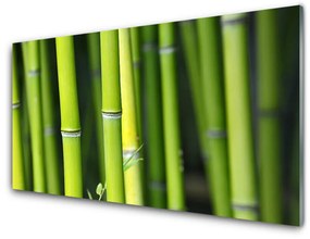 Nástenný panel  Bambus príroda rastlina 100x50 cm