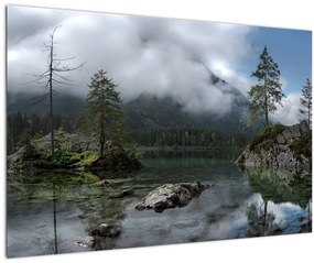 Obraz stromov v jazere (90x60 cm)