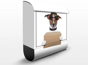 Poštová schránka Pes s krabicou