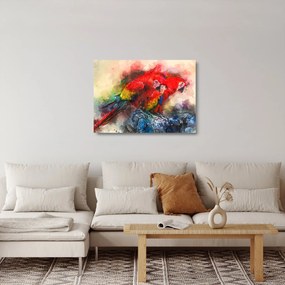Sklenený obraz červených papagájov ara (70x50 cm)