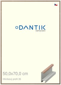 DANTIK rám na obraz 50x70 | ALU Dýha ořech raw (Plexi Čiré)