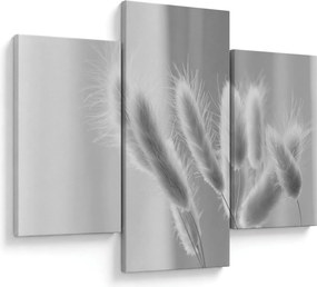 Obraz - Bunny tail grass (90x60 cm)