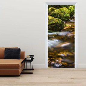 Fototapeta na dvere - Potôčik (95x205cm)