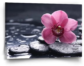 Sablio Obraz Orchidea - 90x60 cm
