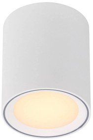 Stropné LED svietidlo Fallon, výška 12 cm