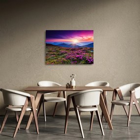 Sklenený obraz - Horská rozkvitnutá krajina (70x50 cm)