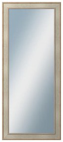 DANTIK - Zrkadlo v rámu, rozmer s rámom 60x140 cm z lišty TOOTH strieborná (2779)