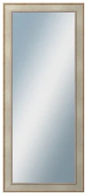 DANTIK - Zrkadlo v rámu, rozmer s rámom 60x140 cm z lišty TOOTH strieborná (2779)