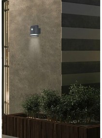 LED vonkajšie svietidlo so senzorom pohybu (výška 13 cm) Salta – Trio