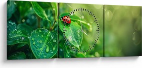 Obraz - Lienka (s hodinami) (90x30 cm)